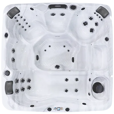 Avalon EC-840L hot tubs for sale in Arcadia