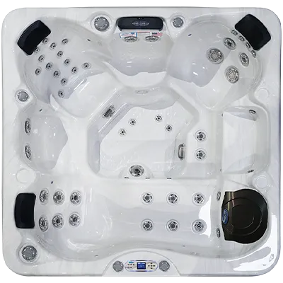 Avalon EC-849L hot tubs for sale in Arcadia