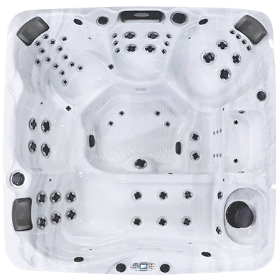 Avalon EC-867L hot tubs for sale in Arcadia