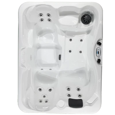 Kona PZ-519L hot tubs for sale in Arcadia